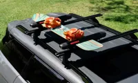 Ski & snowboard carrier